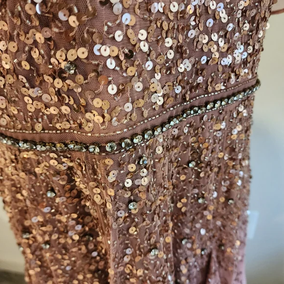 Beautiful *New W/tags* Mac Duggal Rose Sequin Dress - Picture 9 of 16